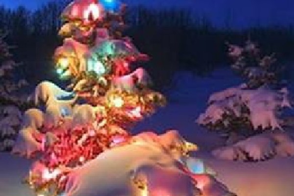 Weihnachtsgrußmotiv 2020 der Trachtenkapelle Grüne Jäger