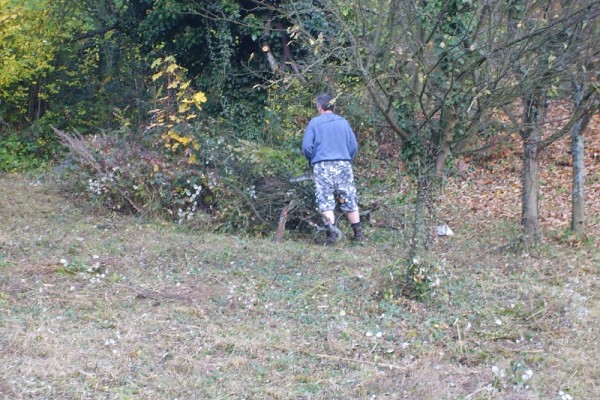 Trockenmauerreinigung – Bild 5