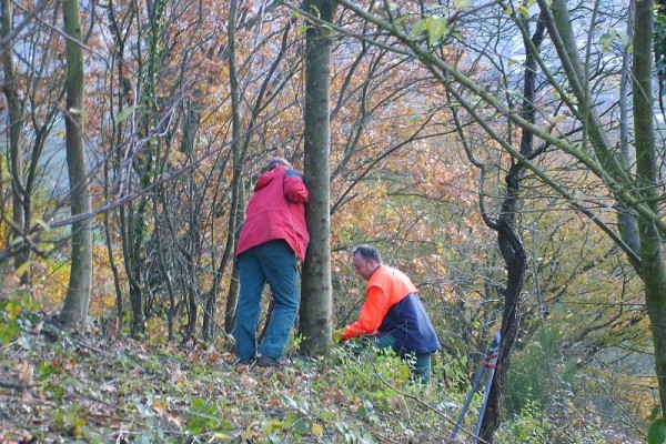 Trockenmauerreinigung – Bild 4