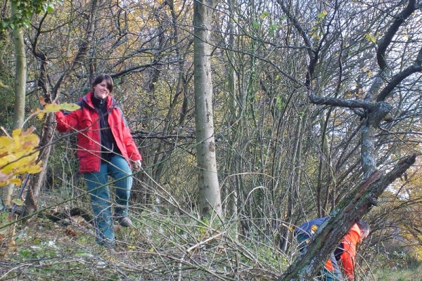 Trockenmauerreinigung – Bild 2