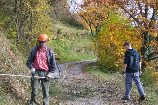 Trockenmauerreinigung – Bild 6