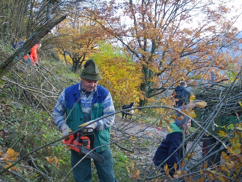 Trockenmauerreinigung – Bild 1