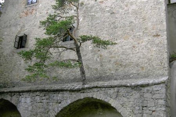 Tschechienausflug 2004 – Bild 92