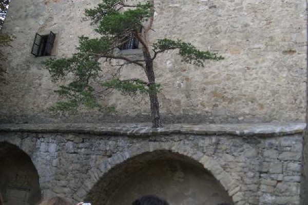 Tschechienausflug 2004 – Bild 8