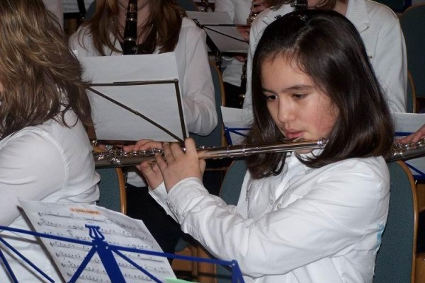 Jungmusikerleistungsabzeichen in Bronze 2007 – Bild 2